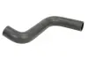 Шланг гумовий системи охолодження Нижн Прав FORD FIESTA V, FUSION 1.25/1.4/1.6 11.01-12.12 THERMOTEC DWG002TT (фото 1)