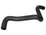 Шланг гумовий системи охолодження Нижн FORD C-MAX, FOCUS C-MAX, FOCUS II 1.4/1.6 10.03-09.12 THERMOTEC DWG012TT (фото 1)