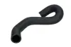 Шланг гумовий системи охолодження Нижн FORD FIESTA IV, FIESTA/HATCHBACK, FIESTA/MINIVAN 1.8D 08.95-04.02 THERMOTEC DWG082TT (фото 1)