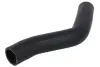 Шланг гумовий системи охолодження FORD TRANSIT 2.4D 01.00-05.06 THERMOTEC DWG156TT (фото 1)