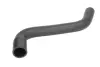 Шланг гумовий системи охолодження Верх FORD ESCORT III NISSAN SUNNY II PEUGEOT 405 I VW PASSAT B3/B4 1.1-2.0 09.80-05.97 THERMOTEC DWP137TT (фото 1)