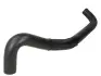 Шланг гумовий системи охолодження Нижн RENAULT KANGOO BE BOP, KANGOO EXPRESS, KANGOO II 1.5D 02.08- THERMOTEC DWR065TT (фото 1)
