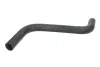 Шланг гумовий системи охолодження Нижн CHEVROLET LACETTI, NUBIRA DAEWOO LACETTI, NUBIRA 1.4/1.6/1.6LPG 07.03- THERMOTEC DWX080TT (фото 1)