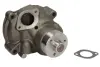 Насос охолоджуючої рідини, CASE IH 55, 60, 70, 100, 65, 75, 85 FIAT 55-46, 55-46 DT, F 110, F 115, F 120, F 130, F 140 NEW HOLLAND TN 55, TN 65, TN 75, 55.46, 55.46 DT THERMOTEC WP-FO104 (фото 1)