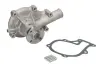 Насос охолоджуючої рідини, KUBOTA B 1700, B 2100, B 2110, B 2400, B 2410, B 2410 HSD, B 2410 HSDB, B 2410 HSE, B 3030, B 7500, B 7500 DT, B 7500 HSD THERMOTEC WP-KU106 (фото 2)