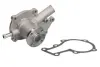 Насос охолоджуючої рідини, KUBOTA B 1410, B 1610, B 7400, B 7400 HSD, B 1800 D, B 1800 E THERMOTEC WP-KU107 (фото 2)