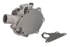 Насос охолоджуючої рідини PERKINS 103.15, BENFRA 9.01B CASE IH 15, 16 GEHL 145, 165, 245 JCB 801, 8015, 8016, 8017, 8018 WEIDEMANN 912 D/P THERMOTEC WP-PK127 (фото 2)