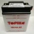 Мотоакумулятор TOPLITE YB14A-A2 (фото 1)