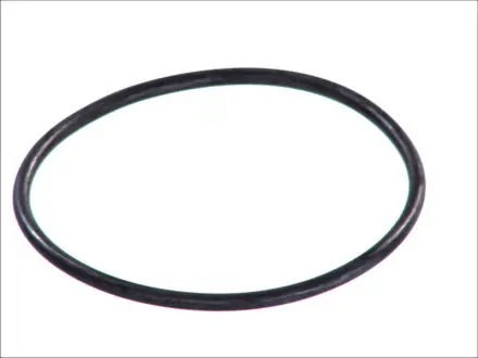 Прокладка водяної помпи AUDI 80 B2 SEAT CORDOBA, IBIZA II VW GOLF I, GOLF II, GOLF III, JETTA I, JETTA II, PASSAT B1, PASSAT B2, POLO, POLO II, VENTO 0.9-1.6 05.73-10.02 TOPRAN / HANS PRIES 100 572