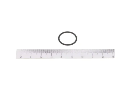 О-подібне кільце (EN) Fuel pressure sensor O- on CR rail - fpm 16x19 x1,5мм AUDI A1, A3, A4 B8, A5, A6 C6, A6 C7, A8 D4, Q2, Q3, Q5, Q7, TT SEAT ALHAMBRA, ALTEA, ALTEA XL 1.2D-6.0D 05.03 Topran 116555