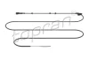Джгут дротів (2500мм, кількість контактів: 2, із штекером) AUDI A3 SEAT LEON, TOLEDO II SKODA OCTAVIA I, OCTAVIA II VW BORA, BORA I, GOLF IV, NEW BEETLE 1.2-3.2 09.96-12.13 Topran 120862 (фото 1)