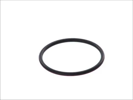 Ущільнення паливного насосу OPEL ASCONA C, ASTRA F, ASTRA F/KOMBI, CALIBRA A, CORSA A, CORSA A TR, CORSA A/HATCHBACK, KADETT E, KADETT E COMBO, KADETT E/KOMBI, OMEGA A, REKORD E 08.77-03.01 TOPRAN / HANS PRIES 202 215