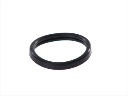 Прокладка термостата VOLVO C30, S40 II, V50 FORD B-MAX, C-MAX, C-MAX II, FIESTA V, FIESTA VI, FOCUS C-MAX, FOCUS I, FOCUS II, FOCUS I/KOMBI, FUSION, MONDEO IV MAZDA 2 1.2-2.0 07.96- TOPRAN / HANS PRIES 302 261