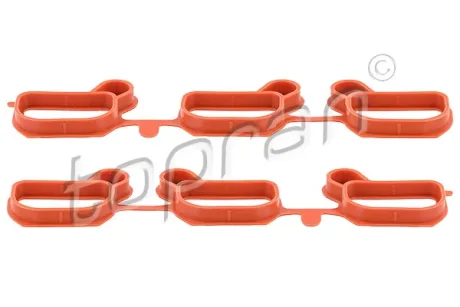 Прокладка впускного колектора BMW 3 (E46), 5 (E39), 5 (E60), 5 (E61), 7 (E38), 7 (E65, E66, E67), X3 (E83), X5 (E53), Z3 (E36), Z4 (E85) 2.0-4.4 08.95-12.10 Topran 502196