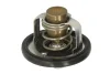 Термостат SUZUKI GSX, GSX-R, SV, TL 600-1300 1997-2007 TOURMAX TMT301 (фото 2)