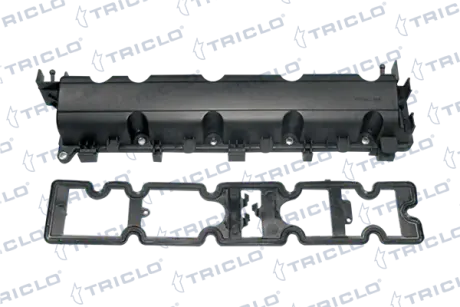 Кришка клапанів CITROEN C4, C4 GRAND PICASSO I, C4 I, C4 PICASSO I, C5 II, C5 III, C5 II/KOMBI, C8, JUMPY II PEUGEOT 307, 308, 308 I, 407, 807, EXPERT, EXPERT TEPEE 1.8/2.0/2.0ALK 09.04- TRICLO 390242