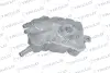 Розширювальний бачок охолоджуючої рідини FORD MONDEO V 09.12- TRICLO 487094 (фото 1)