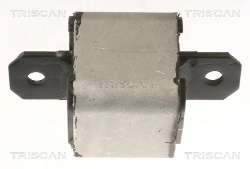 DB Подушка КПП/АКПП Sprinter 06-, Vito 03-, VW Crafter 06 TRISCAN 8505 10120 (фото 1)
