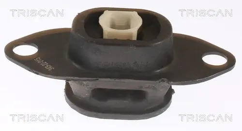 RENAULT Опора двигуна TRISCAN 8505 25116 (фото 1)