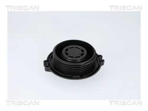 VW Запірна кришка бачка Audi A3, 8, Q2/3, Skoda Fabia III, Kodiaq, Fabia III, Octavia III, Rapid, SuperB III, Amarok, Caddy III, IV, Golf VII, Passat, Tiguan, Touran TRISCAN 8610 34 (фото 1)