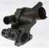 VW Термостат (в корпусі) GOLF PLUS V 1.4 06-, POLO V 1.4 09-, SKODA FABIA II 1.4 07-, OCTAVIA II 1.4 06-, SEAT IBIZA IV 1.4 10 TRISCAN 8620 51787 (фото 1)