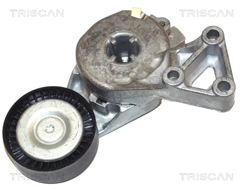 AUDI Ролик з натяжн. пристроєм A3 1,6-1,8 96-, VW Bora, Golf, SEAT, SKODA TRISCAN 8641 293003 (фото 1)