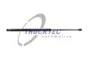 Амортизатор кришки багажника TRUCKTEC 02.62.009 (фото 1)