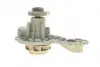 Помпа води Audi A4/A6/VW Passat 1.6/1.8/1.8T/quattro 94-05 TRUCKTEC 07.19.082 (фото 6)