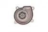 Помпа води Audi A3/Seat Ibiza/Skoda Fabia/Octavia/Rapid/VW Golf/Passat/Polo/Touran 1.4/1.6/FSI 03- TRUCKTEC 07.19.172 (фото 2)