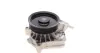 Помпа води BMW 3 (E90/E91/E92) 06-13/X3 (E83) 04-10 TRUCKTEC 08.19.236 (фото 6)