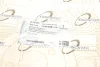 Захист диска гальмівного (заднього) X3 (F25)/X4 (F26) 11-18 B47/N20/N55/N57 TRUCKTEC 08.35.281 (фото 5)