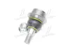 Шарова опора Прав (нижн передн) (діаметр конуса 23mm, з комплектуючими) NISSAN INTERSTAR, NV400 OPEL MOVANO B RENAULT MASTER III 2.3D/Electric 02.10- TRW JBJ1049 (фото 2)