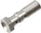 Болт гальмового шланга M10x1,25, колір: Сталь (на 2 шланга) TRW MCH951C (фото 1)