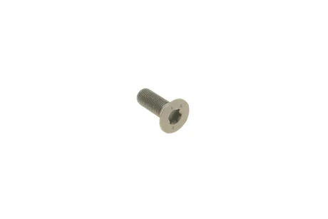 Гвинт M12 x 1,5 VAG 06D109281D