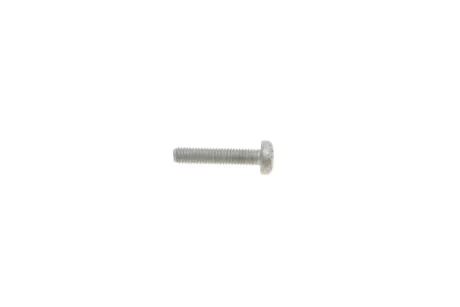 Болт натяжника ланцюга ГРМ Audi A5/A6/A7/Q5/Q7/VW Touareg 18- VAG N10156206