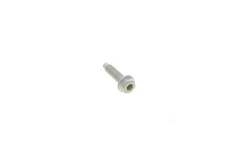 Болт піддону масляного Audi A3/A4/A5/A6/A7/Q5/Skoda Fabia/OctaviaVW Crafter/Caddy 97- (7x28) VAG N90735604