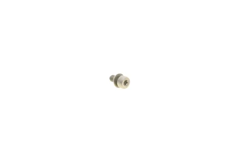Болт фільтра паливного Audi A3/Q3/Skoda Octavia/VW Caddy/Golf 05- VAG WHT001455