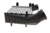 Радіатор інтеркулера VW Passat 1.9/2.0 TDI 00-05 Van Wezel 58004238 (фото 8)
