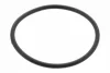 Прокладка корпуса впускного колектора LAND ROVER DISCOVERY IV, RANGE ROVER IV 2.7D/3.0D/3.0DH 09.09-09.21 VEMO V48810008 (фото 1)