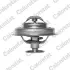 CITROEN термостат 89°С C25 1,9D, PEUGEOT 205/305/J5 1,7-1,9D. Vernet TH4945.89J (фото 1)