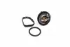 Термостат DODGE/ FIAT/ JEEP (вир-во Vernet) TH7311.95J