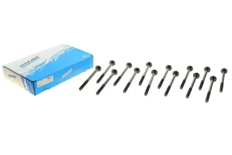 Комплект болтів з головкою системи TORX з чорного металу VICTOR REINZ 14-10017-01