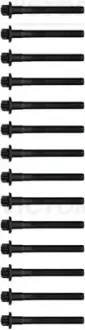 Комплект болтів з головкою системи TORX з чорного металу VICTOR REINZ 14-32109-03