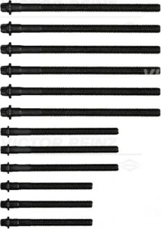 Болти головки (к-кт 12шт.) BMW 3 (E90)/5 (E60)/X3 (E83) 03-15 N43/N45/N46 VICTOR REINZ 14-32310-01
