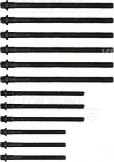 Болти головки (к-кт 12шт.) BMW 1(E87)/3 (E46/E91)/5 (E60)/X3 (E83) 1.6/1.8/2.0 00-12 N40/N42/N45/N46 VICTOR REINZ 14-32314-01