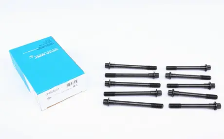 Комплект болтів з головкою системи TORX з чорного металу VICTOR REINZ 14-55002-01