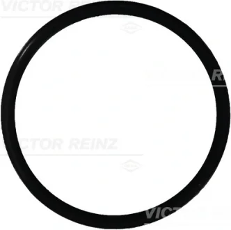Ущільнююче кільце VICTOR REINZ 40-76165-00 (фото 1)