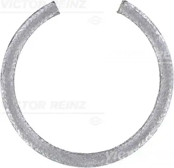 Ущільнююче кільце VICTOR REINZ 71-19722-00