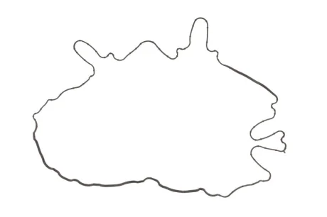 Прокладка кришки клапана гума DEUTZ FAHR M 600, M 610, M 620 SAME 115, 130, 130 HI LINE VICTOR REINZ 713898200