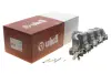 Колектор впускний VW Passat/Golf 2.0TDI 05-10 Vika 11291785701 (фото 2)